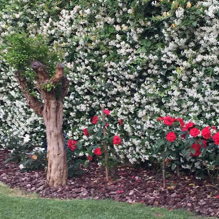 Delle Rose 住宿加早餐酒店 3*