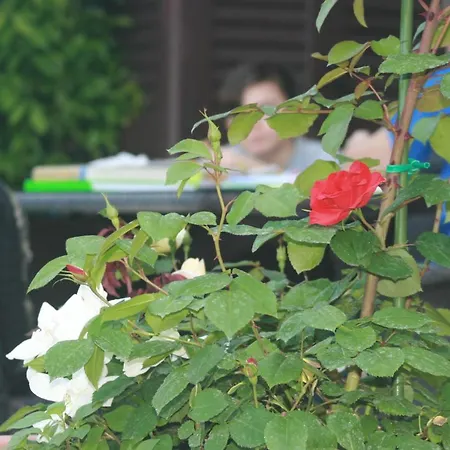 Delle Rose 朱利亚诺瓦