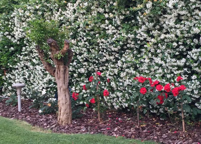 Delle Rose Bed & Breakfast 3*