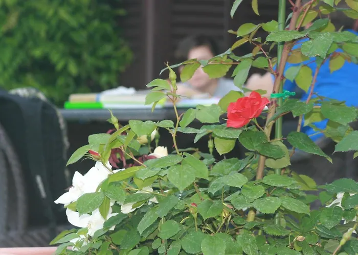 Delle Rose Giulianova